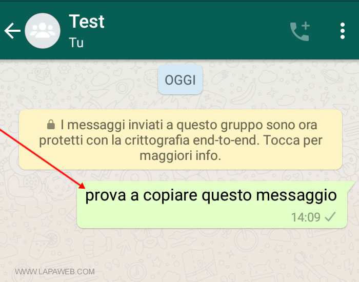 premere sul messaggio da copiare