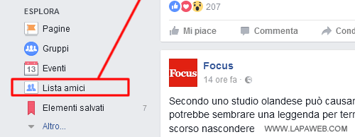 cliccare su LISTA AMICI