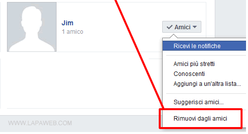 cliccare su RIMUOVI DAGLI AMICI