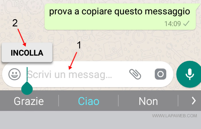 premi sulla casella dei messaggi e seleziona incolla