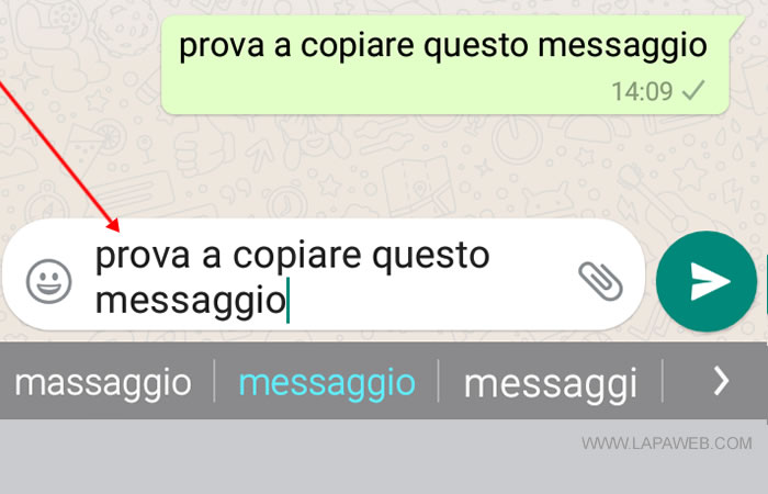 il testo copiato è stato incollato