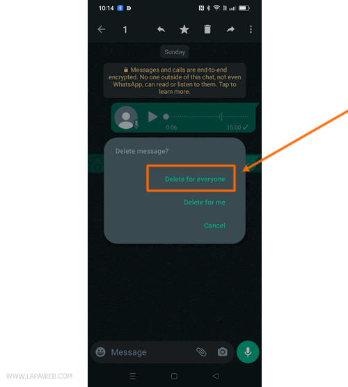 select "Delete for everyone"