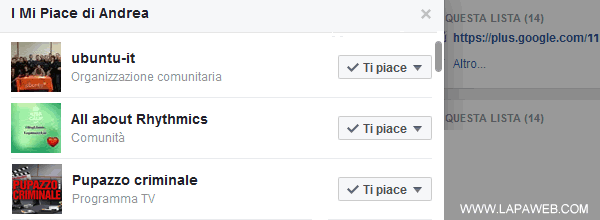 la lista delle pagine Facebook seguite