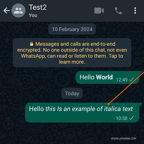in the chat message, the text appears in italics