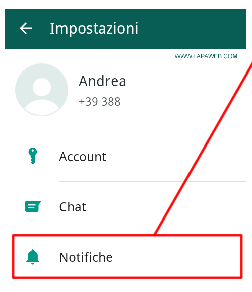 selezionare NOTIFICHE sul menù