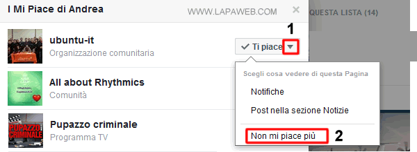 lista delle pagine FB dove ho messo mi piace e che seguo