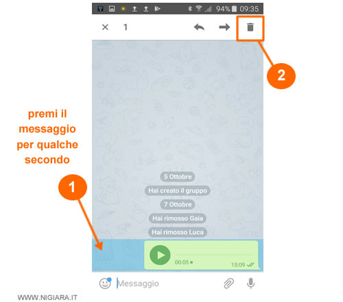 premi sul messaggio per qualche secondo e pigia sull'icona cancella in alto a destra