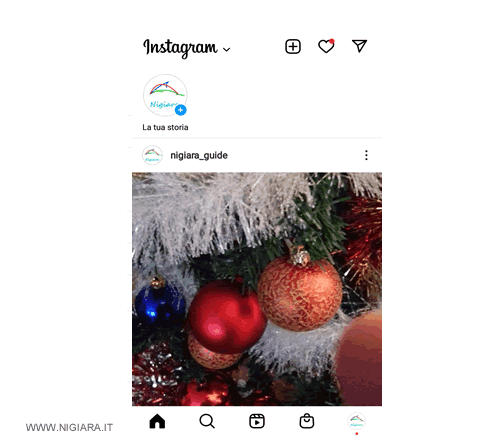 la foto è stata condivisa