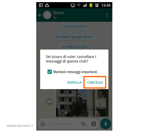 conferma la cancellazione delle chat