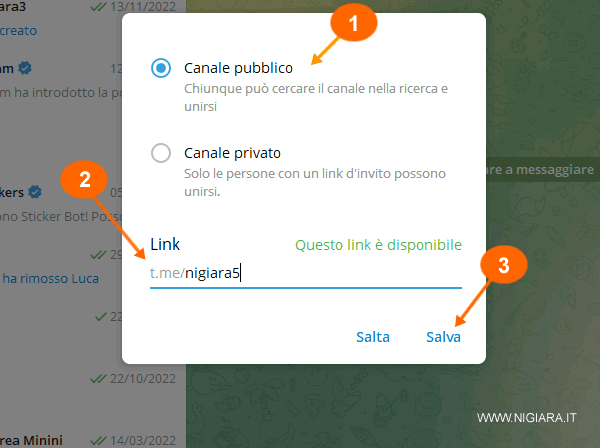 scegli il tipo di canale ( pubblico o privato ) e il link del canale su Telegram me