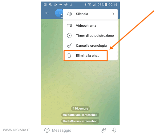 seleziona elimina chat