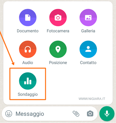 seleziona Sondaggio