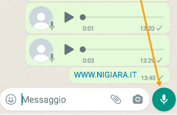 premi il pulsante con il simbolo del microfono