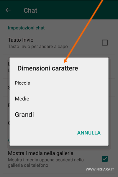 premi su Grandi per ingrandire o su Piccoli per ridurre i caratteri. Per tornare alle dimensioni di default premi su Medie.