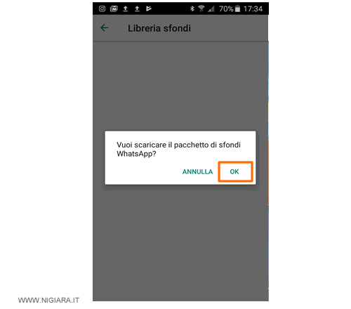 premi sul pulsante OK