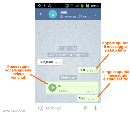 il messaggio è stato inviato al destinatario su Telegram