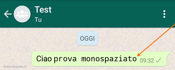 la frase viene pubblicata nella chat in formato monospaziato 