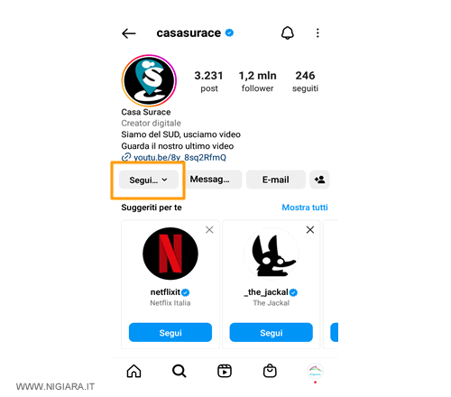 sei diventato un seguace ( follower ) di questa persona su Instagram