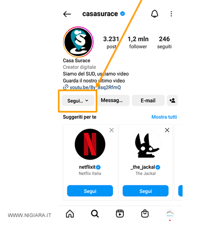 premi su Segui già per non seguire più la persona
