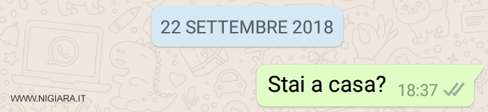 la doppia spunta spenta indica che il messaggio è stato consegnato