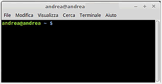 Come è il terminale Linux? Eco un esempio pratico