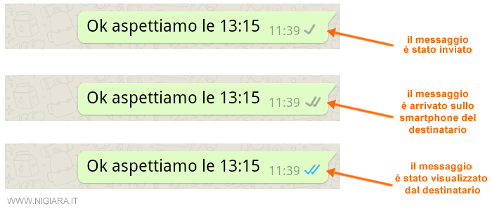 il simbolo della doppia spunta su Whatsapp significa che il messaggio è stato visto dal destinatario