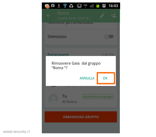 conferma la rimozione dell'amministratore dal gruppo