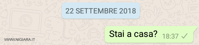 la singola spunta significa che il messaggio è stato spedito