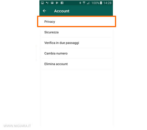 premi sulla voce Privacy