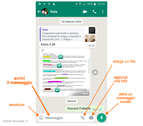 scrivi il tuo primo messaggio su Whatsapp